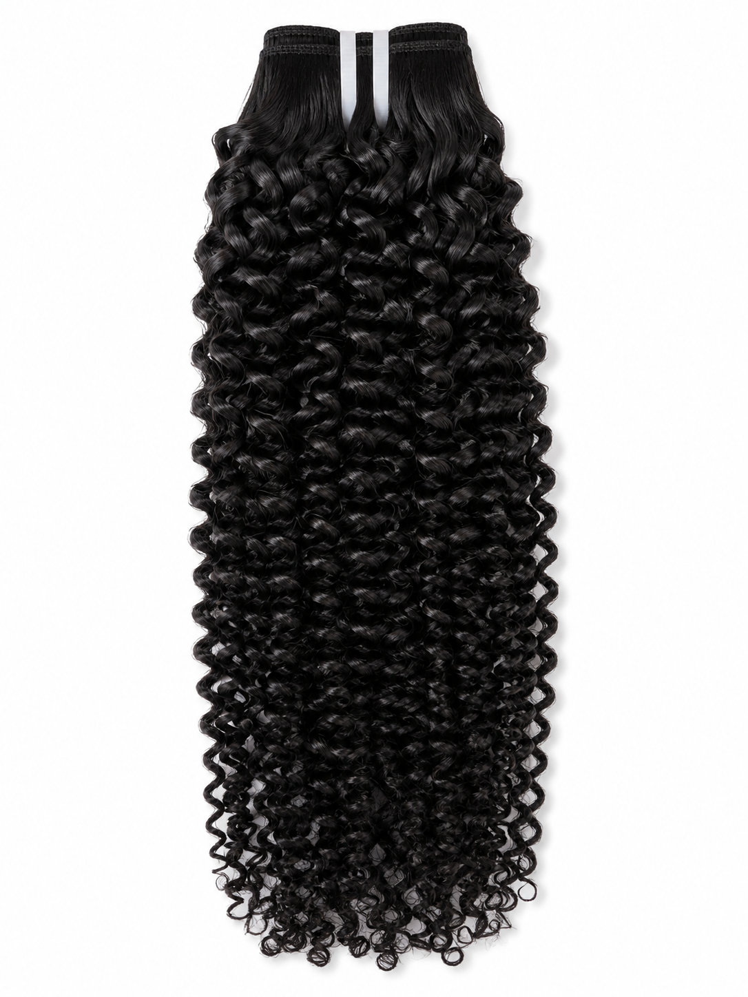 Burmese Indian Curly