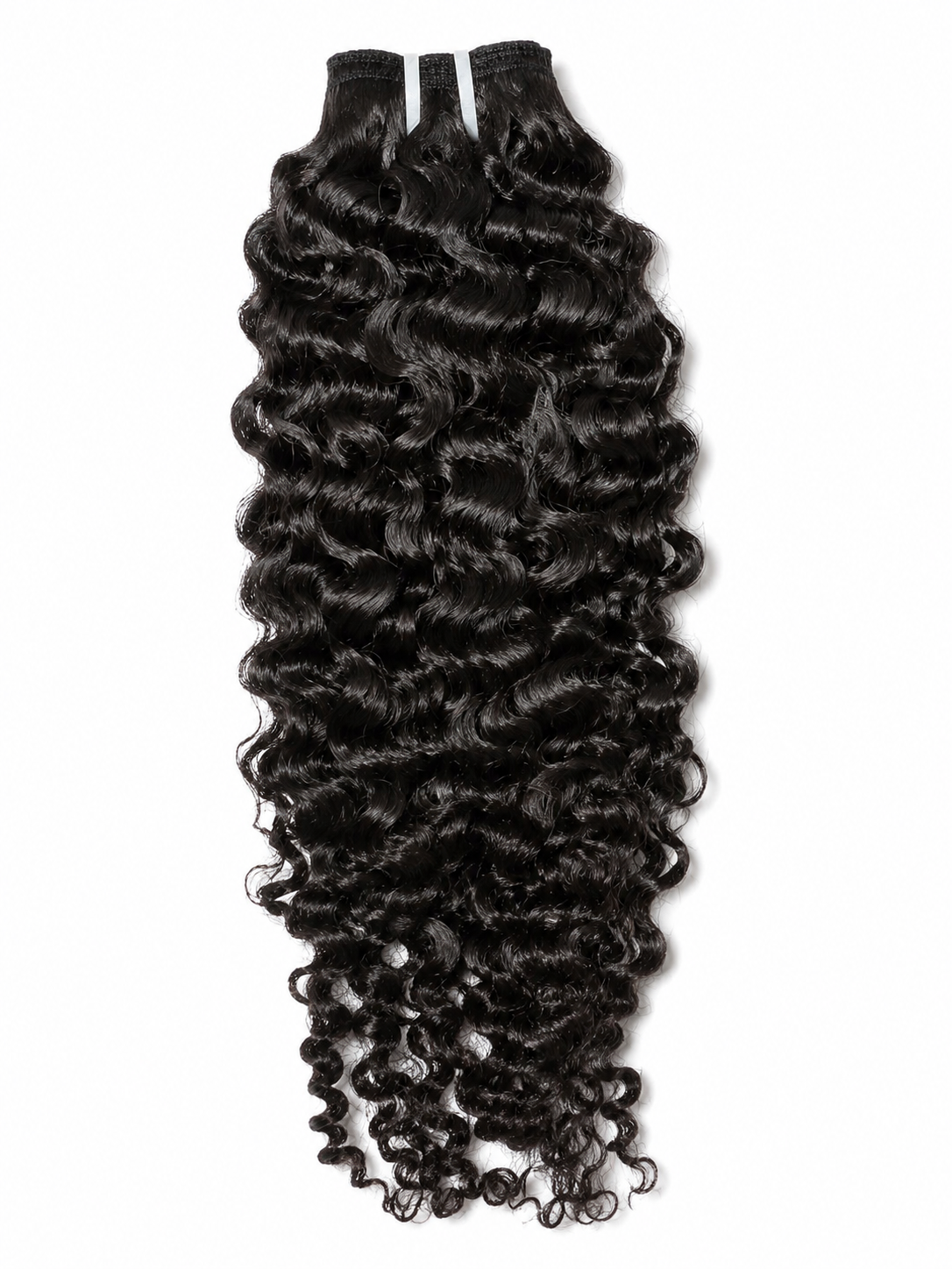Burmese Curly