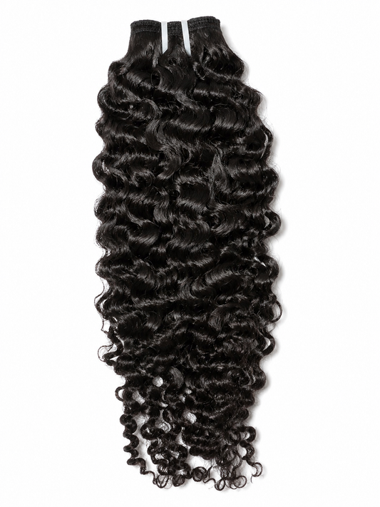 Burmese Curly