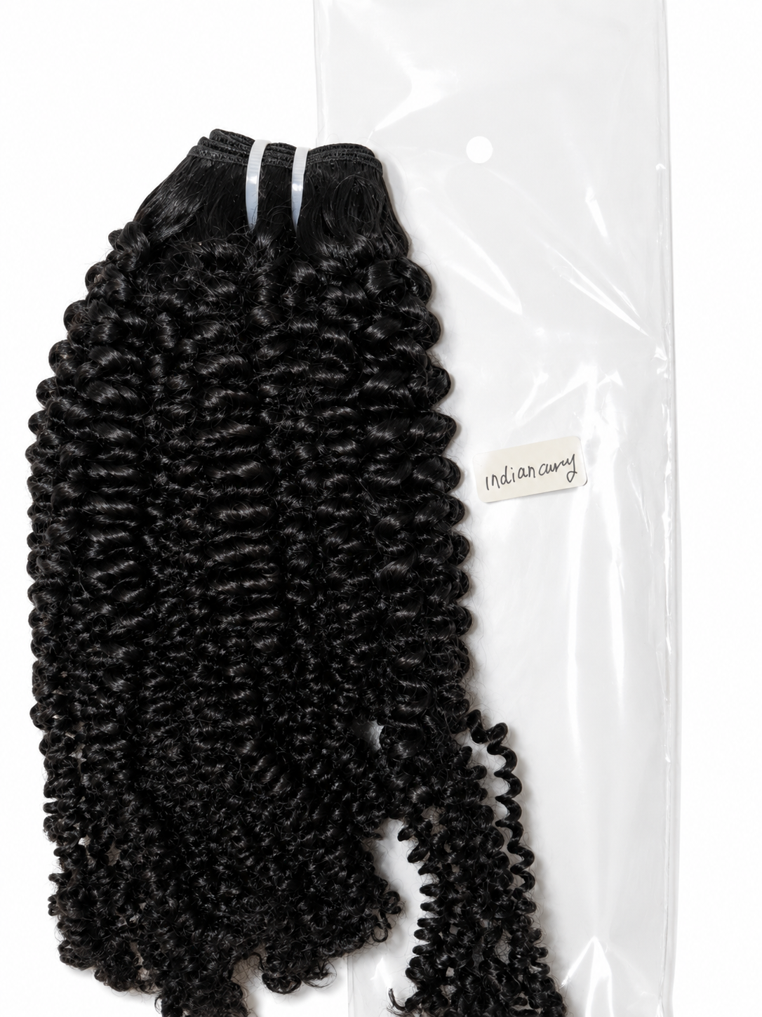 Burmese Indian Curly